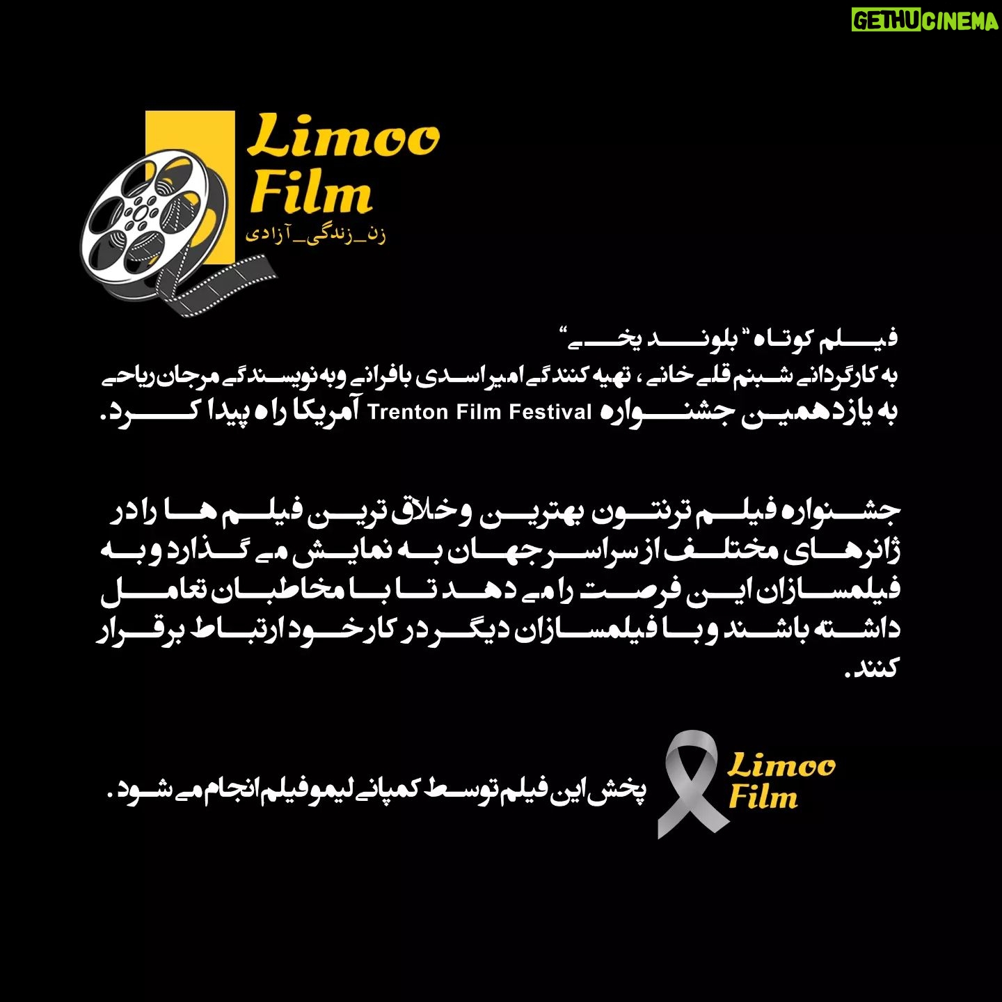Shabnam Gholikhani Instagram - . . فیــلم کوتاه " بلونـــد یخــی " به کارگردانی شبنم قلیخانی ، تهیه کنندگی امیر اسدی بافرانی وبه نویسندگی مرجان ریاحی به یازدهمین جشنــواره Trenton Film Festival آمریکا راه پیدا کــرد . جشنواره فیلم ترنتون بهترین و خلاق ترین فیلم ها را در ژانرهای مختلف از سراسر جهان به نمایش میگذارد و به فیلمسازان این فرصت را میدهد تا با مخاطبان تعامـل داشته باشند و با فیلمسازان دیگر در کار خود ارتباط برقرار کنند. 🍋پخش جهانی این فیلم ها توسط کمپانی لیمو فیلم انجام میشود. برای ارسال فیلم خود شمارتون رو تو دایرکت برای ما بزارید تا بروبچ لیمو فیلم در اولین فرصت با شما تماس بگیرند. لیمویی شوید🍋😊 😊🍋 . #earthonlocation #filmmakersrepublic #cinematography #filmmakers #shortfilm #cinematic #cinematographer #directorofphotography #filmmakersworld #filmmaker#filmmaker#لیمو_فیلم #پخش_کننده_فیلم_کوتاه #لیمو_فیلم #short_film_distribution #short_film_promotion #limoo_film #limoofilm