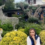 Shabnam Gholikhani Instagram – میدونستین سرکوب احساسات باعث بیماری میشود؟!

▫️نشان دادن محبت به نزدیکانمان یکی از ضروری ترین اقدامات در زندگی است.

▫️تنها عمل کردن کافی نیست و باید احساس خود را به زبان بیاورید.

 🟣با اینکار عزیزانمان مطمئن میشوند که برایشان ارزش قائل هستیم و دوستشون داریم.

من احساساتم را بروز می دهم  چون زندگی حق من است💜

چقدر با جملات بالا موافقی؟؟؟؟
#shabnamgholikhani 
#life #kindness 
#شبنم_قلی_خانی