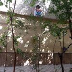 Shaghayegh Farahani Instagram - . شقایق و آذرخش فراهانی بازیگر «مهمانی از کارائیب» شدند/ ویدیوی تست لباس و گریم . به گزارش مشاور رسانه‌ای پروژه، #شقایق_فراهانی همراه با برادرش #آذرخش_فراهانی در فیلم سینمایی #مهمانی_از_کارائیب به کارگردانی #بهزاد_فراهانی، سرمایه گذاری امیرخانی و تهیه‌کنندگی #شهرام_گیل_آبادی به ایفای نقش می‌پردازند. . «مهمانی از کارائیب» اولین تجربه فراهانی در مقام کارگردانی است که قصه‌ای عاشقانه را روایت می‌کند. فراهانی فیلمنامه این اثر را بر اساس رمان «مهمانی از کارائیب – شبی با کاسترو» به قلم خودش نوشته و حمیدرضا قطبی نیز به عنوان مشاور کارگردان او را همراهی کرده است. . تاکنون رضا بابک، شقایق فراهانی و آذرخش فراهانی مقابل دوربین مرتضی پورصمدی رفته‌اند و بازیگران متعدد دیگری نیز در ادامه کار به جمع هنرمندان این اثر عاشقانه اضافه خواهند شد. لوکیشن اصلی این فیلم در فضا و موقعیتی مملو از صمیمیت و مهربانی معماری ایرانی است و احساسی عاشقانه را در فضای دیداری ایجاد می‌کند. . شهرام متولی‌باشی مدیر صدابرداری، محسن صادقی‌نسب سرپرست گروه کارگردانی، مهدی سهرابی دستیار یک کارگردان و برنامه‌ریز، نوید فرح‌مرزی طراح چهره‌پردازی، مرجان گلزار طراح صحنه و لباس، جواد راهزانی مدیر تولید، رویا بابابیگی منشی صحنه، احسان میقانی مدیر تدارکات، حبیب مجیدی عکاس، مهدی گودرزی فیلمبردار پشت صحنه و مریم قربانی نیا مشاور رسانه‌ای این فیلم هستند. در خلاصه داستان «مهمانی از کارائیب» آمده است: «خیاطی کارکشته عاشق بانویی شده که همسرش را اعدام كرده‌اند. خياط به دلیل دلبستگی به رفاقت با دوستش، شجاعت بیان این عاشقانگی را ندارد و بانو نیز به دلیل وفاداری به شوی رفته‌اش دهان می‌بندد و دل را لجام می‌زند. این عشق پنهان داستان ناتمام بسیاری از مردان و زنان شرقى است؛ عشق‌هايى كه سرانجامش را باید در فلسفه شرق جست...». : @mehmani_az_caraib . @shahramgilabadi @behzad_farahani_orginal @babakreza20 @shaghayeghfarahani @azarakhsh1 @javad_ra