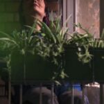 Shaghayegh Farahani Instagram - بخش‌هایی از پشت صحنه فیلم «عشق قرنطینه نمی‌شود» به مناسبت زادروز آتنه فقیه‌نصیری . به همراه تبریک ویژه سیامک انصاری، شقایق فراهانی و ژینوس پدرام . فیلم کوتاه «عشق قرنطینه نمی‌شود»، چهارمین فیلم کوتاه به نویسندگی و کارگردانی ژینوس پدرام، تدوین‌گر شناخته شده سینماست. . آتنه فقیه‌نصیری، تینو صالحی و فهیمه رحیم‌نیا از بازیگران این فیلم هستند. . ساخت تیزر: علی بوستانی مشاور رسانه‌ای: زهرا نجفی . #عشق_قرنطینه_نمیشود #آتنه_فقیه_نصیری #تینو_صالحی #فهمیمه_رحیم_نیا #ژینوس_پدرام #شقایق_فراهانی #سیامک_انصاری @Siamakansari_ir @zhinous.pedram @shaghayeghfarahani @tinosalehi