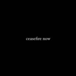 Shahad Al Khattab Instagram - We demand an immediate #ceasefire ‼️ STOP THIS GENOCIDE!!!! 🇵🇸🇵🇸🇵🇸🇵🇸