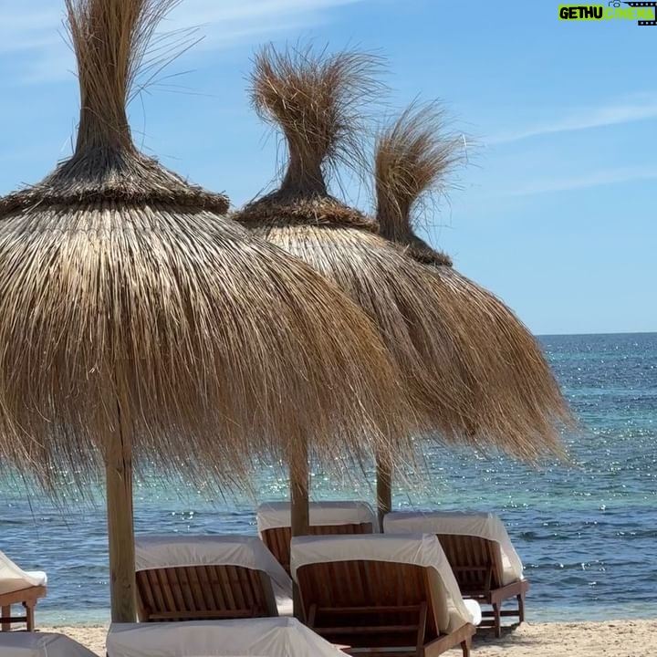 Shaila Gatta - 36.7K Likes - Ibiza 🏝️🌸🤍