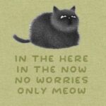 Shaina West Instagram – in the here, in the now, no worries, only meow 🐈‍⬛