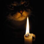 Shaina West Instagram - If you were a god/goddess, what 3 things would you take as an offering to summon you? I would take: a black kitten (who you vow to adopt and love forever), a ripe mango and a joke that’ll make me laugh. (if I don’t laugh you die).