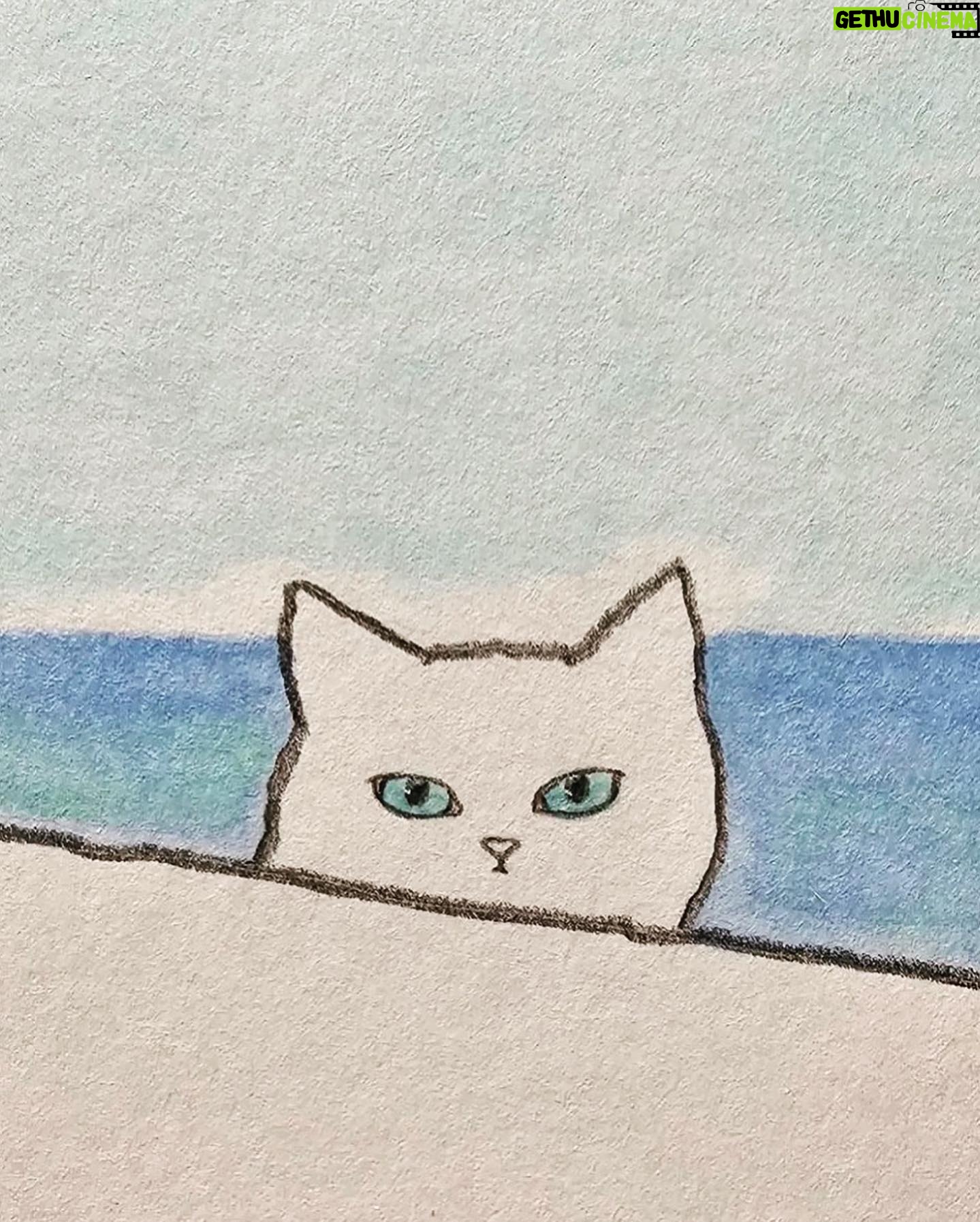 Shaina West Instagram - Do one thing every day that brings you joy. Get outside. Swim in a lake. Accept the tutelage of a powerful ancient water-bending master. Become the sinister force that occupies the lake and terrifies the townsfolk. Treat yourself. π