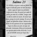 Shanik Aspe Instagram - Hace poco una seguidora en instagram me puso que envidiaba mi vida perfecta y que a mí siempre me iba bien porque se notaba que buscaba a Dios. En realidad la vida no es tan perfecta como esa seguidora lo percibe y estar cerca de Dios o querer estarlo no significa que la vida será perfecta a su lado. El nunca dijo eso , y tampoco es la intención, porque donde está la oportunidad de crecimiento si todo nos saliera siempre bien ? Ni una persona se escapa de las aflicciones y no quiero que nadie idealice mi vida porque esa no es la intención de este perfil . Como todos , también enfrento adversidades , tristezas , miedos… sin embargo es verdad que parece que las cosas siempre marchan bien por aquí y no es porque quiera aparentar que así sea , esto es porque en realidad en mi vida he logrado experimentar la paz de Dios que sobrepasa todo entendimiento . Es verdad que a algunos nos toca enfrentar tormentas y a otros huracanes , pero cualquiera que sea la tempestad , no es lo mismo enfrentarla en tus propias fuerzas que tomado de la mano de Dios. Y Como lo hago? Recordando que el me dio un espíritu de valentía y que no hay nada que temer si dejo todo en sus manos, recuerdo que todo lo que sucede y lo que no sucede en mi vida es parte de un plan perfecto si estoy haciendo su voluntad y entonces la tormenta que estoy atravesando en realidad se siente más como una lluvia . Hoy te escribo estas palabras con el propósito de decirte que no hay vidas ni personas perfectas . Si fuera así no existirían mujeres hermosas que insatisfechas con su aspecto quedaron irreconocibles por tantas cirugías, famosos que a pesar del éxito eligieron sumergirse en las adicciones , jóvenes con un camino por delante que prefirieron quitarse la vida o ricos que aunque siempre están rodeados de gente en su interior se sienten completamente solos. La Paz genuina solo podemos encontrarla en Dios y es asi como se puede superar cualquier adversidad que se presente por más difícil que esta parezca. Juan 16:33 Yo les he dicho estas cosas para que en mí hallen paz. En este mundo afrontarán aflicciones, pero ¡¡ confien !! Yo he vencido al mundo. #salmo23