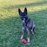 Shannen Doherty Instagram - Highly skilled killer of kongs @missbowiedoherty
