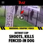 Shannen Doherty Instagram - This is a tough one. I have owned police trained dogs in the past. They are exceptionally well trained and disengage with a command if the handler and dog have the right working relationship. I also currently have a dog that is very dog aggressive. Had the pit bull been my Bowie, she would of been shot in the head. Yes, I wasn’t there so it’s hard to know every detail however, the fast draw of guns is an issue we all are aware of. I would personally suggest that this officer might not be the right person for a k9. I don’t have the answers but I do question why other methods weren’t used to separate the dogs. I am also very sensitive to police dogs. They are officers. Friendly discussion please. This is not a feed to tear each other apart but rather to “hear” other opinions and have a healthy discussion. Repost from @animalhopeandwellness • Detroit Dog Shooting Update: . After posting the video online and asking the public to call the Mayor and the Detroit Police Department. The precinct sided with the officer, even though there was video footage, and said the shooting of the dog in the head was justified. . The officer was not reprimanded and is back on duty. The police department blamed the owner of the dog saying she should have controlled her pet, even though the dog was behind the fence. . It is sad to think that police would shoot a dog in the head, instead of working to separate them. After watching the video many times, we feel that the situation could have been avoided, or handled differently. . @dogsofahwf @animalhopeinlegislation