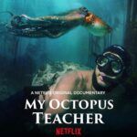 Shannen Doherty Instagram - If there is one thing to watch, it is this. This documentary moved me to my core and gave me an even deeper understanding of our connection to other living beings and our precious planet. Please watch.