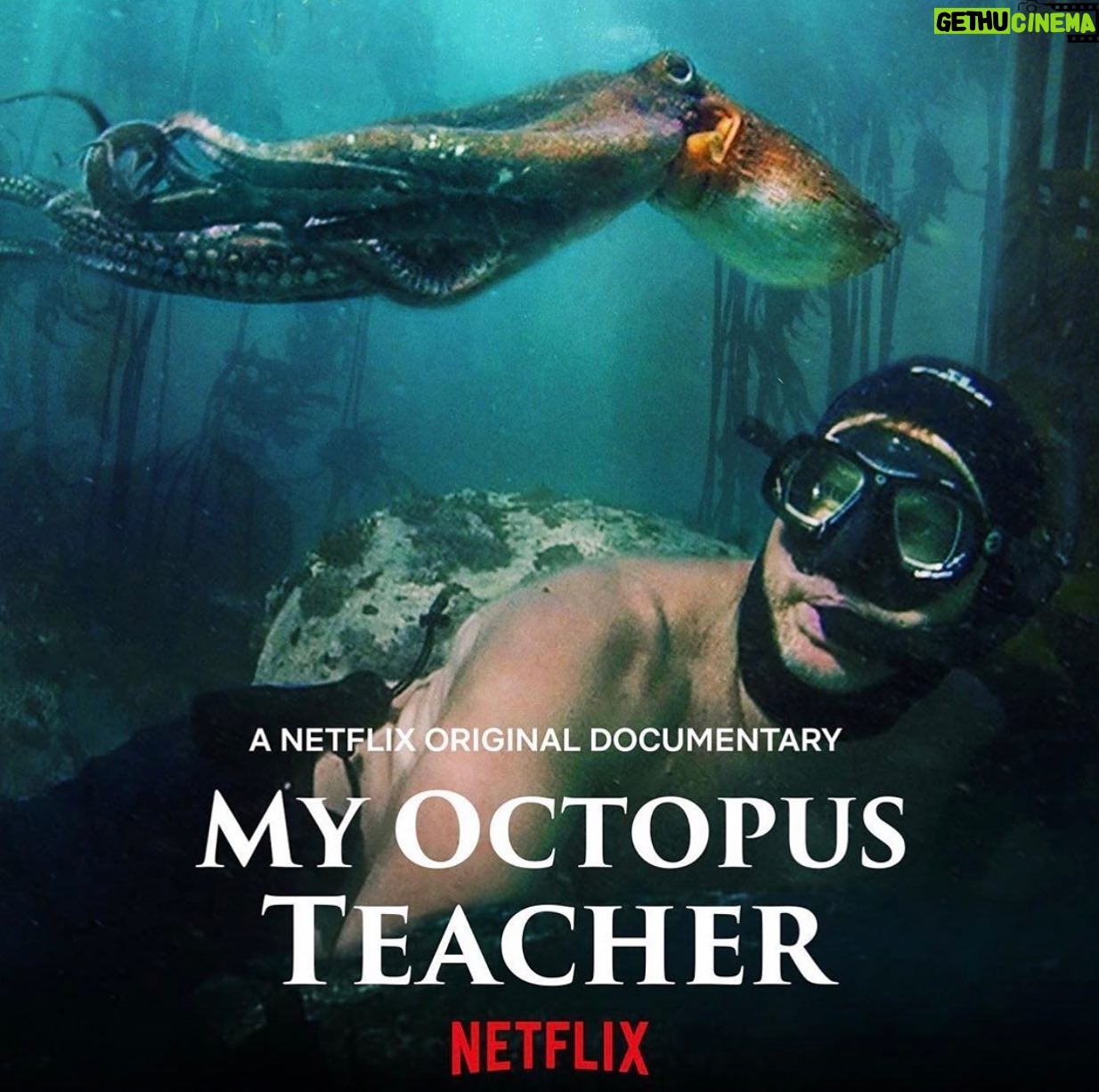 Shannen Doherty Instagram - If there is one thing to watch, it is this. This documentary moved me to my core and gave me an even deeper understanding of our connection to other living beings and our precious planet. Please watch.