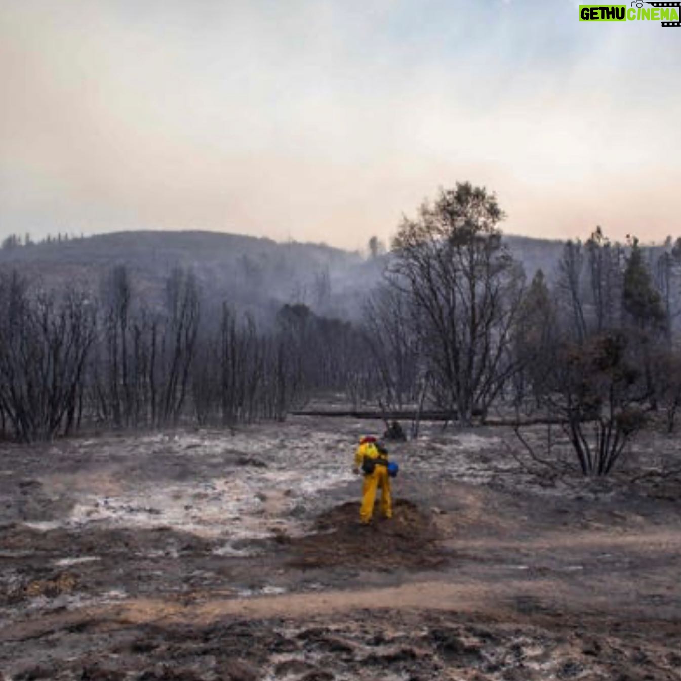 Shannen Doherty Instagram - Devastating. Loss of life, human and animal. Loss of homes and structures. My thoughts and prayers are with each and every person and the wildlife impacted. Thank you to the firefighters who risk their lives. All of our first responders.