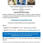 Shannen Doherty Instagram - What a great organization to support. Guys there is a fundraiser going on for @cawildlife which is one of my favorites. It also happens to be during my birthday. Check it out at cawildlife.givesmart.com or check link in my bio