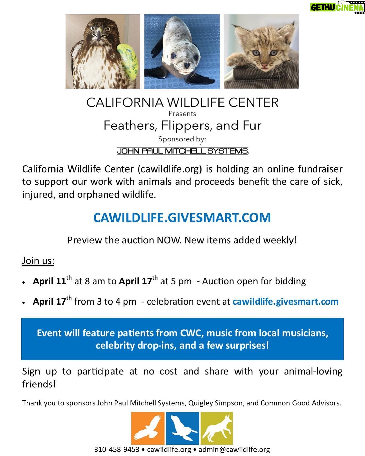 Shannen Doherty Instagram - What a great organization to support. Guys there is a fundraiser going on for @cawildlife which is one of my favorites. It also happens to be during my birthday. Check it out at cawildlife.givesmart.com or check link in my bio