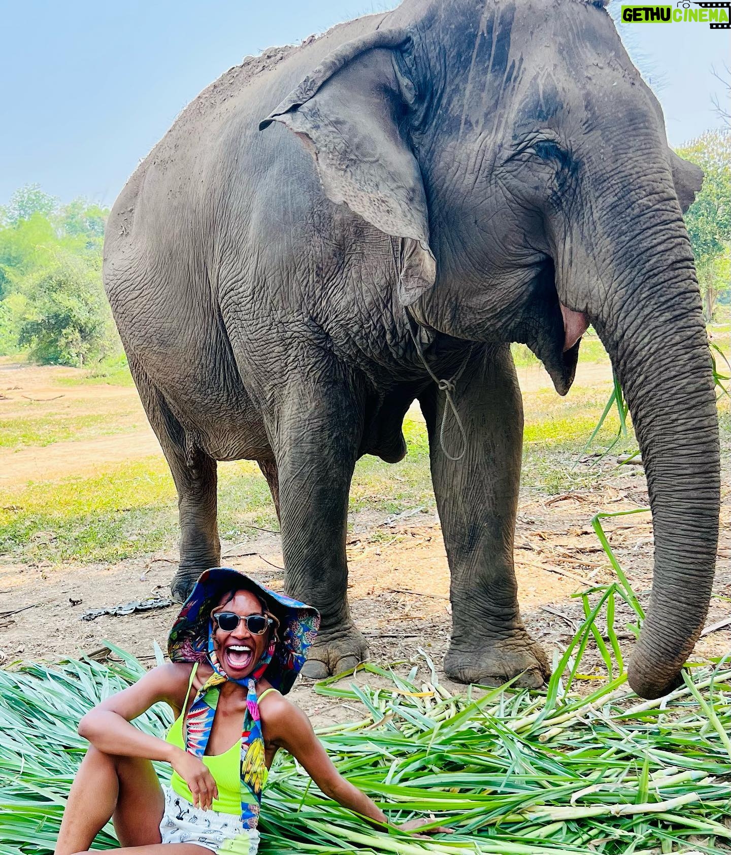 Shanola Hampton Instagram - Thinking of the love I found in Thailand! #photodump #saveelephants