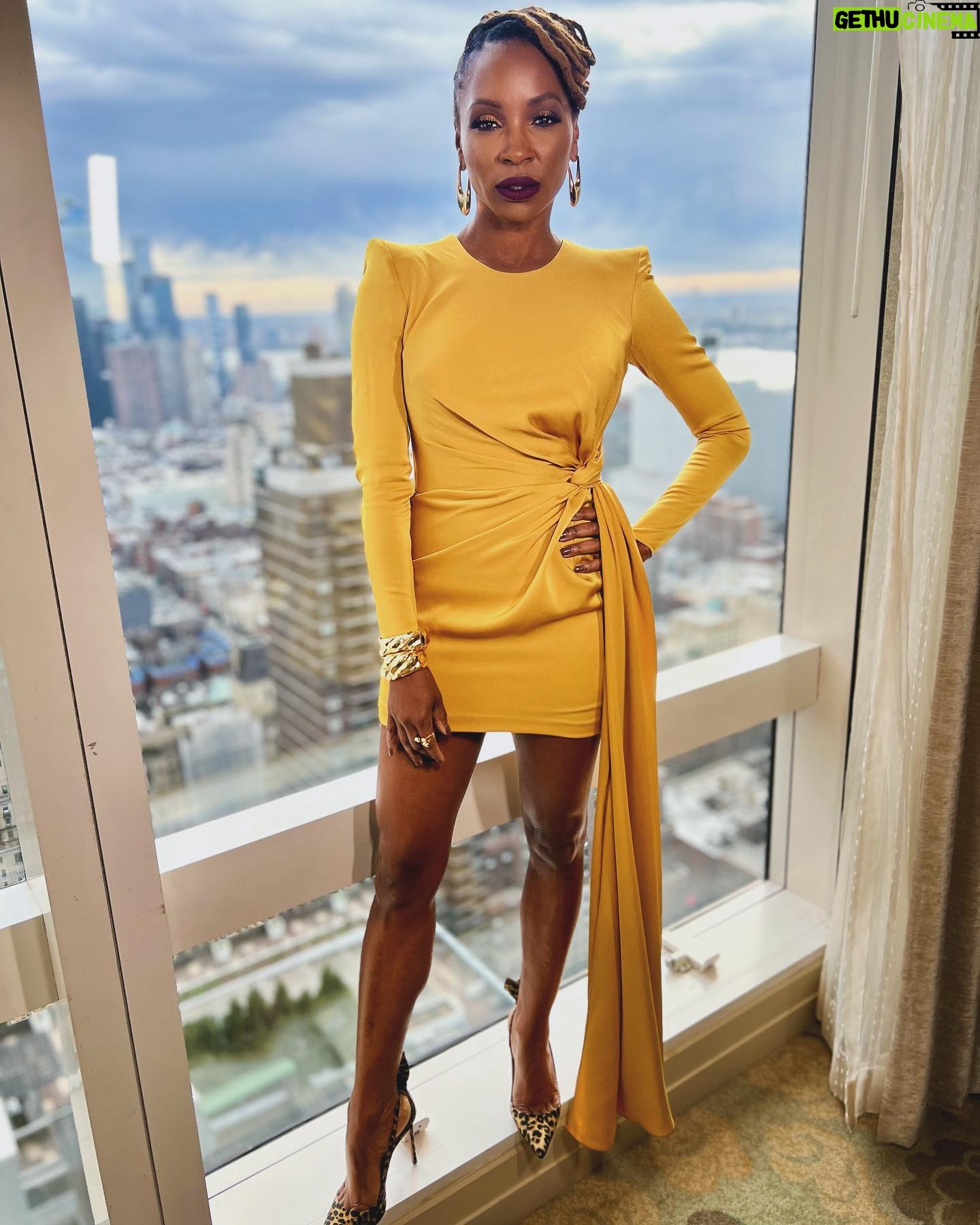 Shanola Hampton Instagram - About last night! So proud to be a member of the @warnerbrostv family and present them with @alifeinthearts #medalofhonor alongside my partner #MarkPaulGosselar stylist: @vjstyles makeup: @keys_rebelle