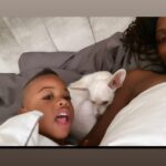 Shanola Hampton Instagram - #nationaldogday we love our LULU baby!! #adoptdontshop #ShelterofHope #ledgelounger