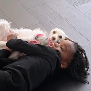 Shanola Hampton Thumbnail - 51.5K Likes - Top Liked Instagram Posts and Photos