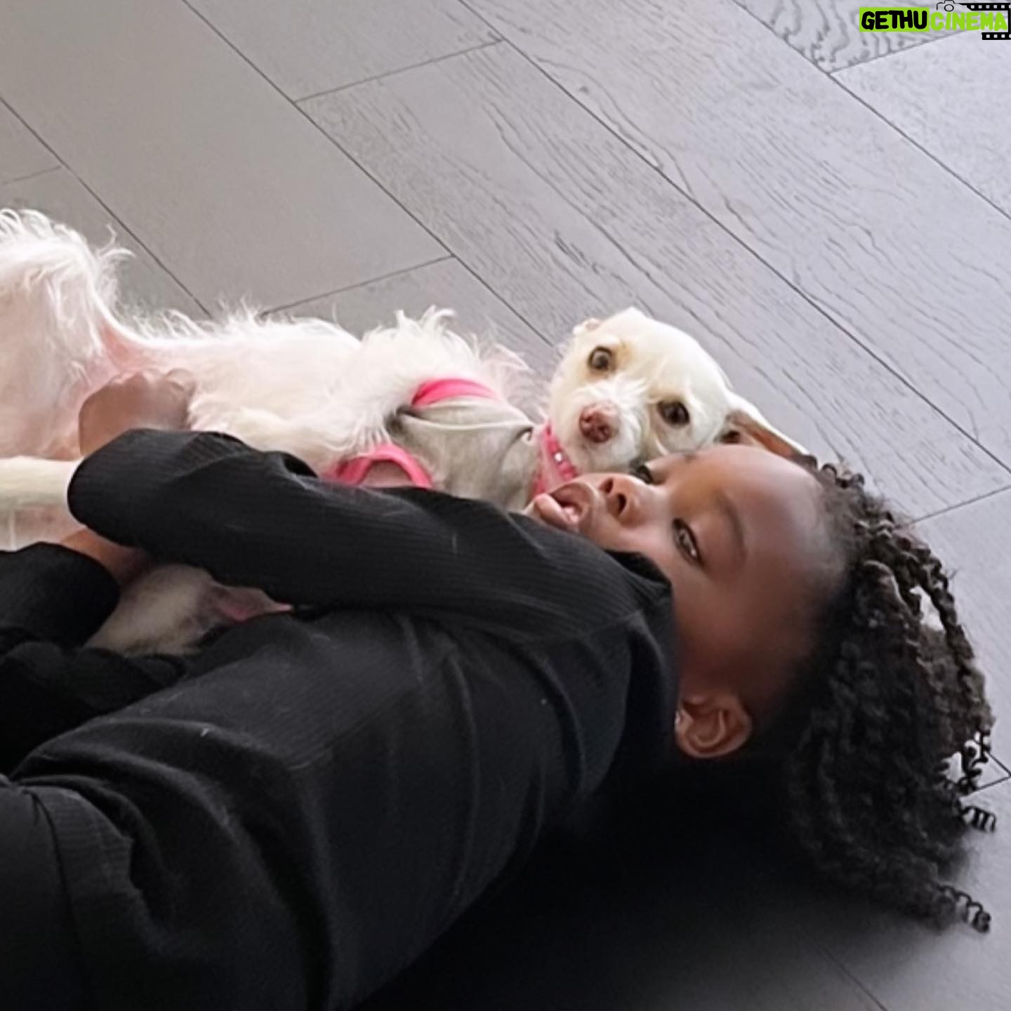Shanola Hampton - 51.5K Likes - Top Liked Instagram Posts and Photos