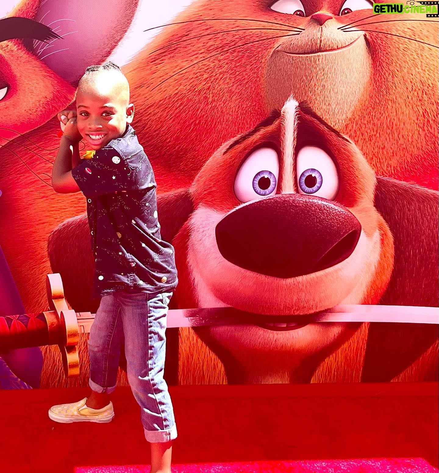 Shanola Hampton Instagram - What a fantastic family fun weekend!! Having my niece and nephews with us, made it all the sweeter! @pawsoffurymovie is not just a kids movie! So good!@paramountpics My kids faces when they realized @blippi was at the @netflix @kungfupanda event was truly priceless! Thanks to all! #summermemories #Cousinsclan #coolauntie