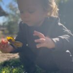 Sharna Burgess Instagram - When Zane was only a few months old and having a rough night I suddenly started humming this song to him. Edelweiss. It calmed him within seconds and from then on this was and still is what I hum for him at night. I’ve never even thought about this song and I had no idea where it came from until I realized it was a favorite of my Dads. I knew in that moment he brought it to me all those months ago when Zane was upset. Now it feels very special and makes me smile. It’s no secret now, we didn’t have a great relationship when he was here. But.. in his passing and in me finding gratitude and forgiveness I’ve now got a better relationship with him than I think I ever had. Or at least since I was very little and adored him. Now I thank him often for so many things, and I thank him for looking out for his Grandson. I know he’s there, or here. I know he’s taking care of me now in a way he couldn’t while he was with us. During this week where I’ve cried and raged and felt ruined every time I see my feed or the news, I am grateful for this mornings nature walk with my son, for our safety, and for hearing this beautiful version of a song that now fills me with love and joy. Thinking of ALL of you. Wishing and praying with ALL of you. To anyone who has lost someone this week or even recently, I believe they are with you always, they are there, or here. They are everywhere you are just in a different capacity. They no longer hurt. They are there loving you and guiding you and protecting you. Love to everyone. Hope for humanity. Be a light in someone’s world today. We need it if you can offer it🙏🏻