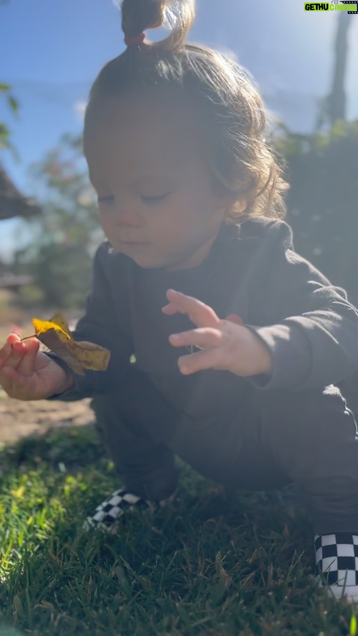 Sharna Burgess Instagram - When Zane was only a few months old and having a rough night I suddenly started humming this song to him. Edelweiss. It calmed him within seconds and from then on this was and still is what I hum for him at night. I’ve never even thought about this song and I had no idea where it came from until I realized it was a favorite of my Dads. I knew in that moment he brought it to me all those months ago when Zane was upset. Now it feels very special and makes me smile. It’s no secret now, we didn’t have a great relationship when he was here. But.. in his passing and in me finding gratitude and forgiveness I’ve now got a better relationship with him than I think I ever had. Or at least since I was very little and adored him. Now I thank him often for so many things, and I thank him for looking out for his Grandson. I know he’s there, or here. I know he’s taking care of me now in a way he couldn’t while he was with us. During this week where I’ve cried and raged and felt ruined every time I see my feed or the news, I am grateful for this mornings nature walk with my son, for our safety, and for hearing this beautiful version of a song that now fills me with love and joy. Thinking of ALL of you. Wishing and praying with ALL of you. To anyone who has lost someone this week or even recently, I believe they are with you always, they are there, or here. They are everywhere you are just in a different capacity. They no longer hurt. They are there loving you and guiding you and protecting you. Love to everyone. Hope for humanity. Be a light in someone’s world today. We need it if you can offer it🙏🏻