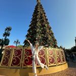 Sharon Chan Man-Chi Instagram - 每年都要去𝐷𝑖𝑠𝑛𝑒𝑦𝑙𝑎𝑛𝑑 探吓呢棵聖誕樹 🎄🎅🏻 已經好有聖誕氣氛 真係好鍾意12月 因為阿仔就嚟生日啦🎂 @hkdisneyland #hellodecember #christmastree