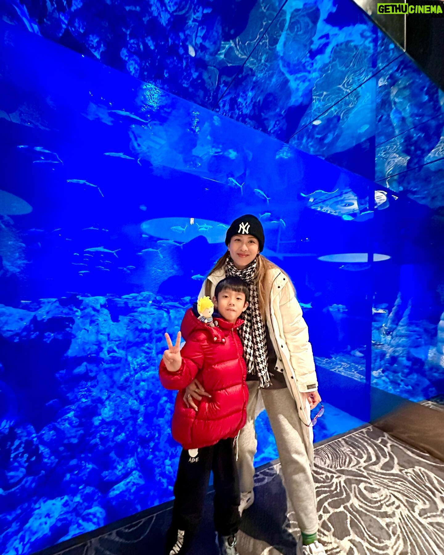 Sharon Chan Man-Chi Instagram - 子樂正日🎂的那一天 我們到了海洋公園 探小王子🤴🏻 還去了最愛的海龍王餐廳 吃生日大餐😋 他們三兄弟玩到唔捨得走 開心生日月♥️ @hkoceanpark #hkoceanpark #ChristmasSensationHOHOHO2023 #LePetitPrince80thAnniversaryGalacticVoyage #海洋公園 #聖誕全城HOHOHO2023 #小王子80周年星空遊歷之旅