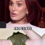 Sharon Osbourne Instagram - Frog green foam and drizzle? 🐸 🍽️ Not on The Osbournes’ plate! But we’re dishing out something even better – a piping hot, ALL NEW episode of The Osbournes Podcast Feast your ears on the latest episode and catch the Osbournes and Billy Morrison on Youtube, Rumble or wherever you get your podcasts. Be sure to follow @theosbournespodcast for all things Osbournes!