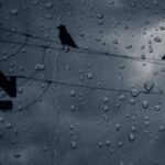 Sharon Osbourne Instagram - 🌧️ LA ❤️