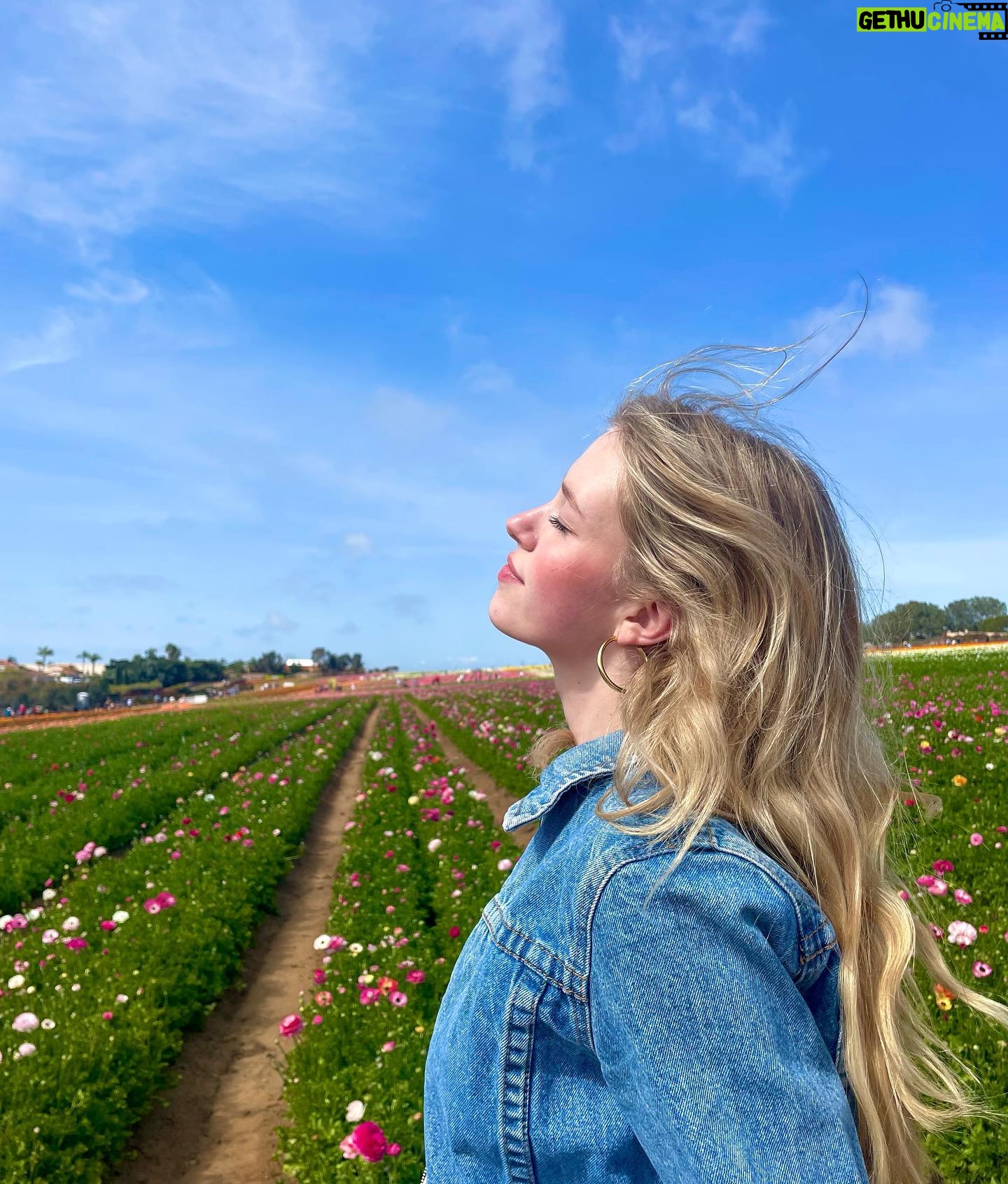 Shay Rudolph Instagram - stop and smell the flowers 💐🎀🧚♀️