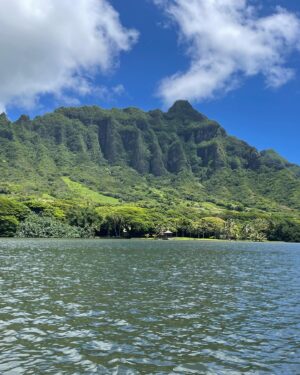 Shay Rudolph Instagram - 🥥🌴🌸🦎
