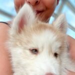 Shefali Shah Instagram – He came to us 4 years ago on my birthday as my birthday gift and he’s the best gift anyone could ever receive. My third baby #Simba, he was the bright spot in an otherwise dark world during Covid. 
I believe kids choose their parents, Simba chose us and we couldn’t have been luckier. With his soulful eyes filled with wisdom and a face of a baby he blessed us with so much love. We were destined to be his parents filling us with unconditional abundant love, licks, snuggles, kisses and of course hair. Like you can’t put in words what you feel for your kids I can’t explain well enough what I feel for him. All I can say is our day starts and ends with him, he’s added soooo much happiness in our life. He’s just THUTHUTHUTHUTHUTHU
@aryamanshah @maurya___02 @ashandsimba