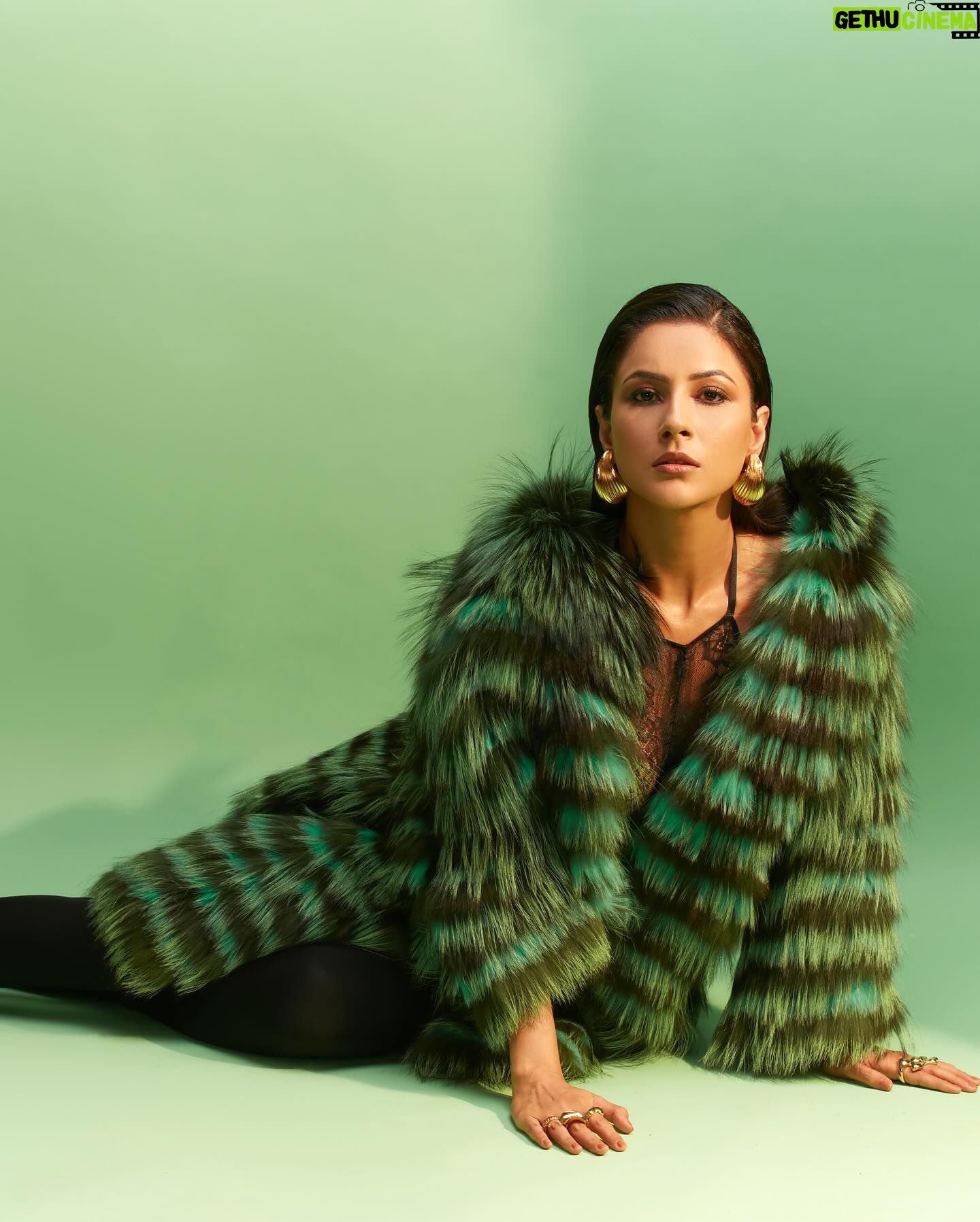 Shehnaaz Kaur Gill Instagram - Intensity is the game; allure is the name. Jacket @helenyarmak Earrings and bracelets by @amamajewels Rings by @zohra_india Styled by @manekaharisinghani with @chintan_shah08 Makeup by @reshmaamerchant Hair by @cheemabaljit2 Shot by @priyankknandwana