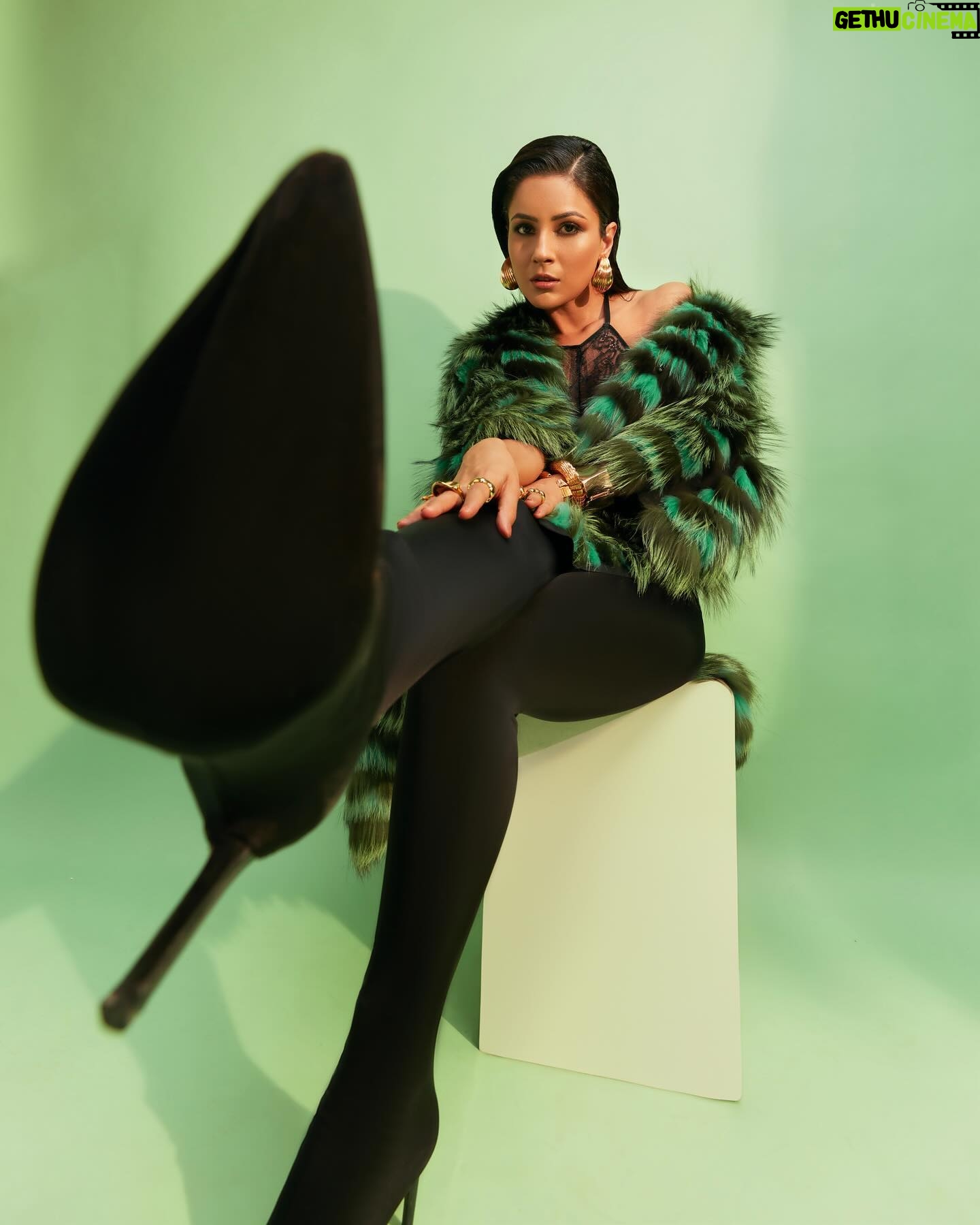 Shehnaaz Kaur Gill Instagram - Intensity is the game; allure is the name. Jacket @helenyarmak Earrings and bracelets by @amamajewels Rings by @zohra_india Styled by @manekaharisinghani with @chintan_shah08 Makeup by @reshmaamerchant Hair by @cheemabaljit2 Shot by @priyankknandwana