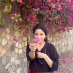 Shehnaaz Kaur Gill Instagram -