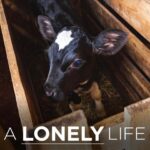 Sheri Moon Zombie Instagram - Ugh I ❤️ 🐮 #lovecows #noveal #stopfactoryfarming
