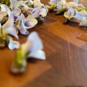 Sheri Moon Zombie Instagram - I’m learning to identify, gather and prepare wild edibles. Today I found wild violets, gathered, rinsed, sorted by leaf and stem and flower and made a warm red potato salad with a bit of veganaisse and violets. #quarantinelife #veganpotatosalad #wildviolets