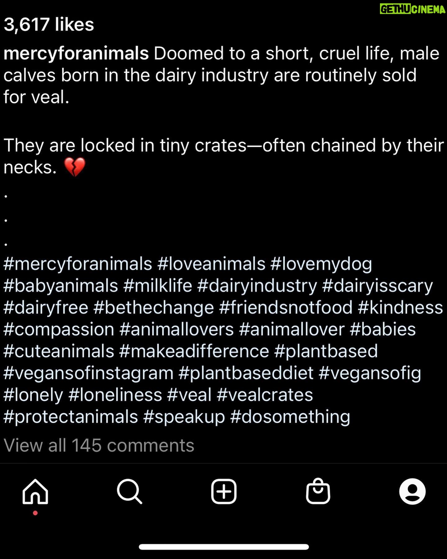 Sheri Moon Zombie Instagram - Ugh I ❤️ 🐮 #lovecows #noveal #stopfactoryfarming