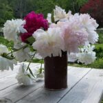 Sheri Moon Zombie Instagram - Growing peonies and making vases…#summer #peonies #pottery #summerbreezemakesmefeelfine