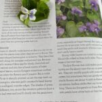 Sheri Moon Zombie Instagram - I’m learning to identify, gather and prepare wild edibles. Today I found wild violets, gathered, rinsed, sorted by leaf and stem and flower and made a warm red potato salad with a bit of veganaisse and violets. #quarantinelife #veganpotatosalad #wildviolets