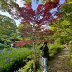 Shilpa Rao Instagram – This tree was all over the park. The only difference was that the others had green leaves, and this was the only one with maroon leaves. This tree might have felt different, slightly odd, out of place, singled out too. But it’s uniqueness made it beautiful.

Look around you, unique things are often singled out but they are undoubtedly beautiful. 
Stay unique, stay beautiful. NEVER CHANGE YOURSELF TO FIT IN 🤗☺️❤️. 

#shilparao #tokyo