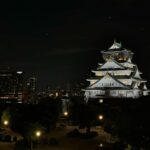 Shilpa Rao Instagram – Osaka Castle visit actually turned into a fun evening. We reached there rather late and thought we would just chill and look at the beautiful structure. But the rooftop was open and it turned into a fun BBQ night. Rest assured @riteshkrishnan & I can do a barbecue successfully from now on🤘🤘🤘. 
Post sunset it was a chill evening with the castle illuminating bright 🤩.

#shilparao #riteshkrishnan #osakacastle