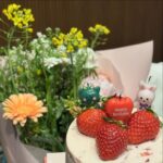Shin Hyun-been Instagram - 🌸🥂🎂🕯️💐🍾👑🌷🌼🍓