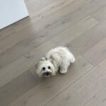 Shin Hyun-been Instagram - 2022 nyc