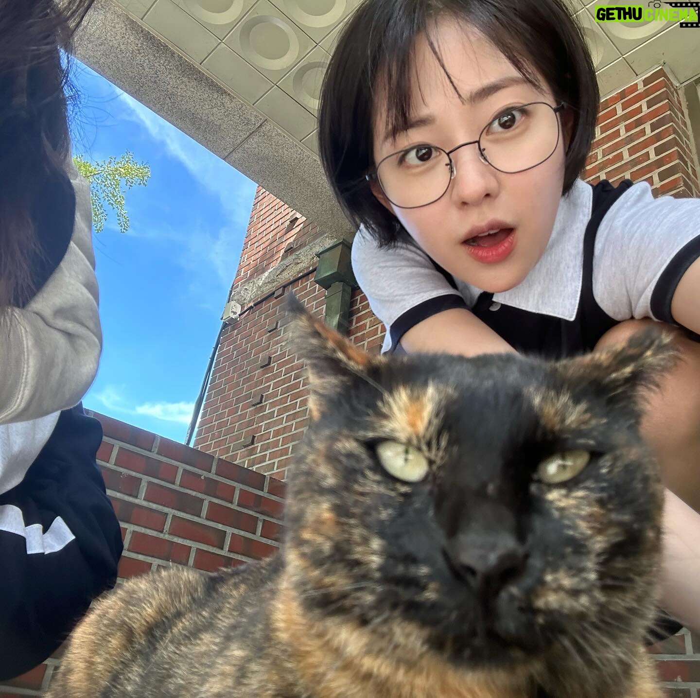 Shin Seul-ki - 756.4K Likes - 도아