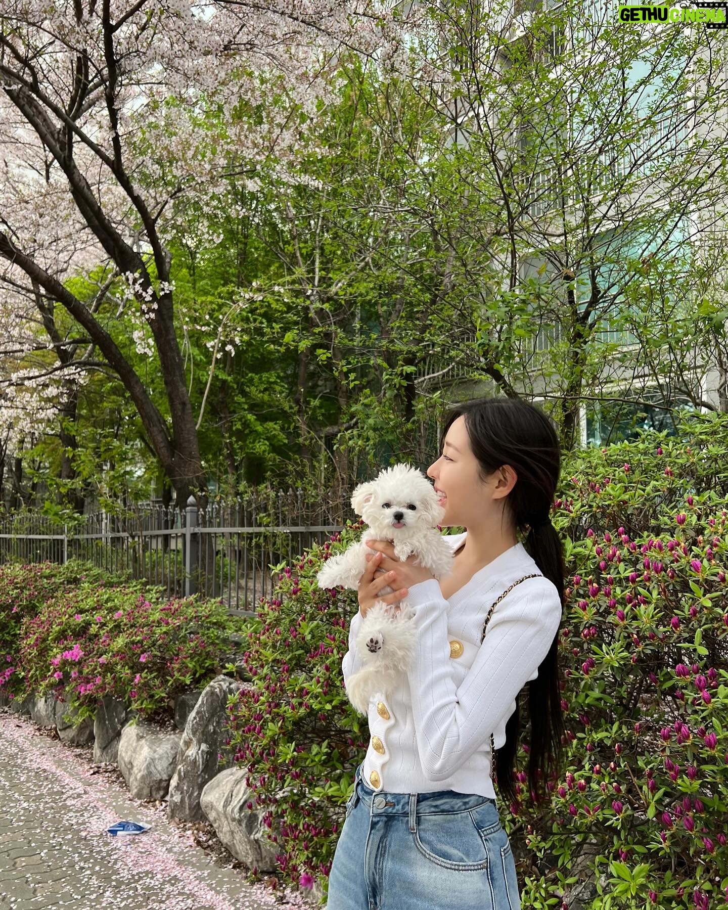 Shin Seul-ki - 238.7K Likes - 🌸🐶