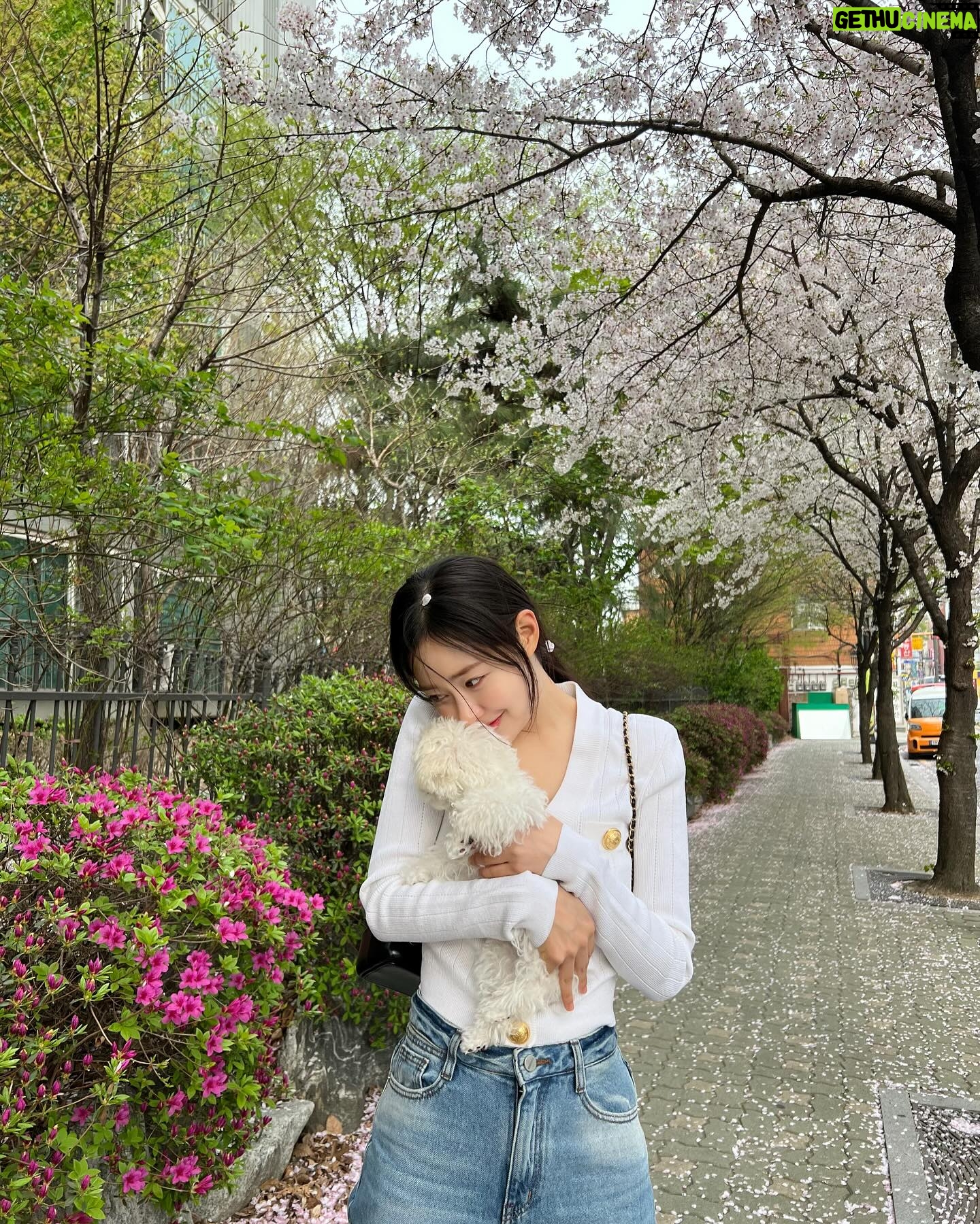 Shin Seul-ki - 238.7K Likes - 🌸🐶