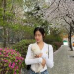 Shin Seul-ki Instagram - 🌸🐶