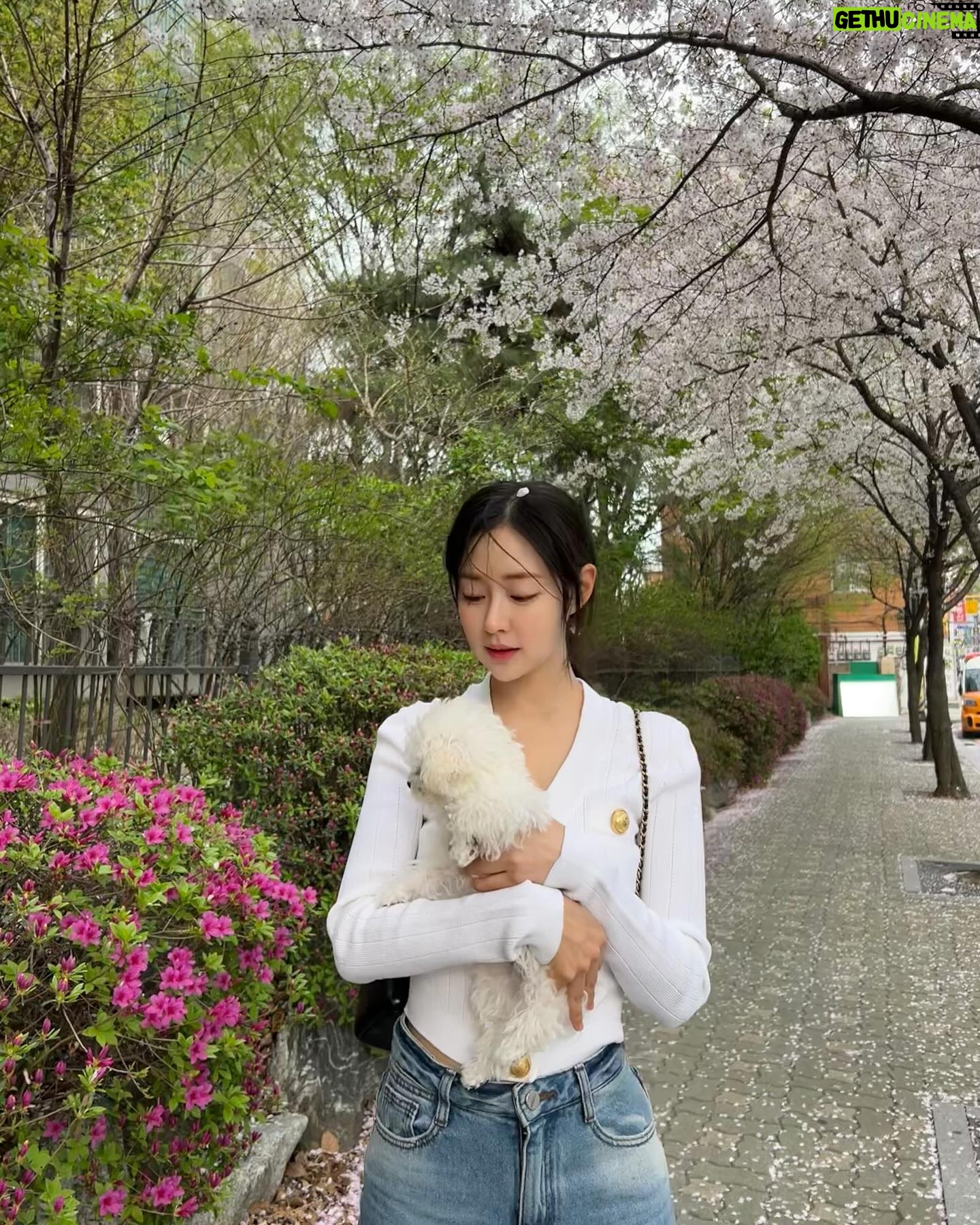Shin Seul-ki - 238.7K Likes - 🌸🐶