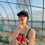 Shiori Sato Instagram - . いちごがり🍓 大盛り蕎麦を食べた後だったので 食べ放題にしては悔しい結果でしたが 甘くて美味しくて可愛くて満足満足🤭